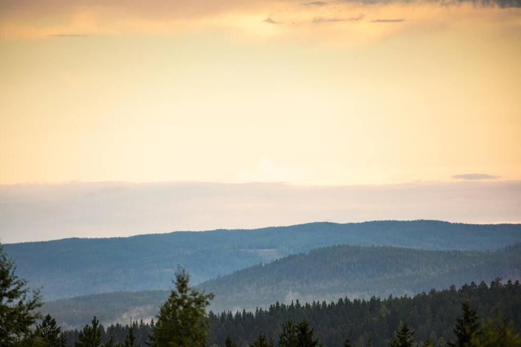 Langroesta; Ruime Blokhut Grenzend Aan Bos Hagfors Exterior foto