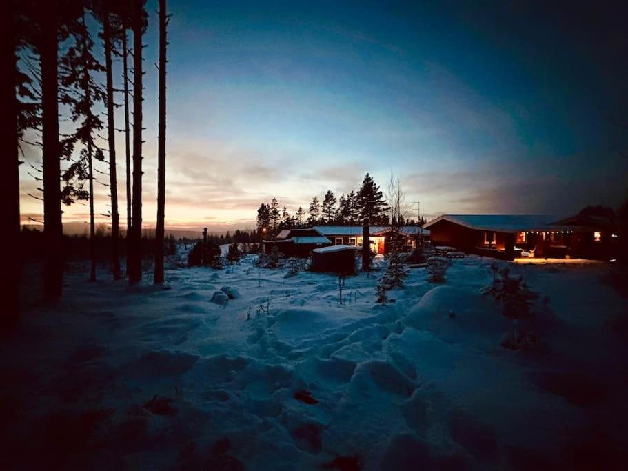 Langroesta; Ruime Blokhut Grenzend Aan Bos Hagfors Exterior foto