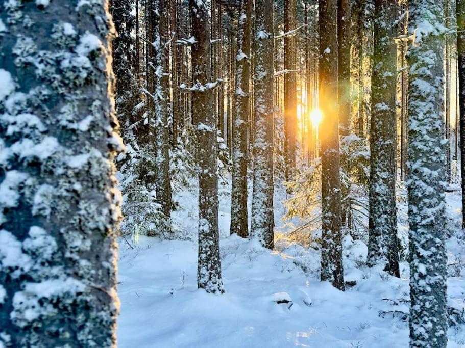 Langroesta; Ruime Blokhut Grenzend Aan Bos Hagfors Exterior foto